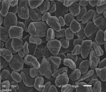 anode materia